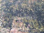 Abstract - Image 2