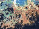 Nebula - Image 2